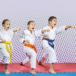 Martial Arts Lessons for Kids in Broomfield CO - Punching Focus Kids Sync